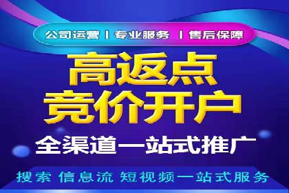 百度竞价与搜索引擎优化（SEO）结合的经典案例